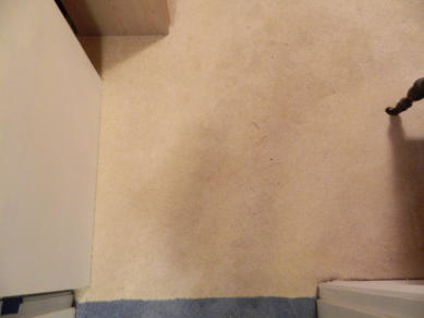 After Jerry's Carpet Cleaning