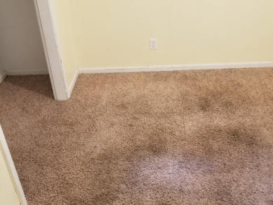 After Jerry's Carpet Cleaning