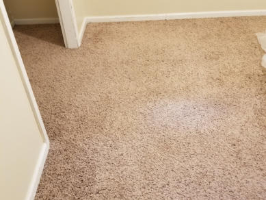 Before Jerry's Carpet Cleaning