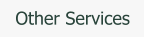 Other Services